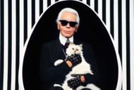 Karl Lagerfeld with his pet cat (Photo via Instagram/amicamagazine)